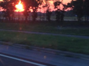 Pics from a moving car don't do it justice, amazing